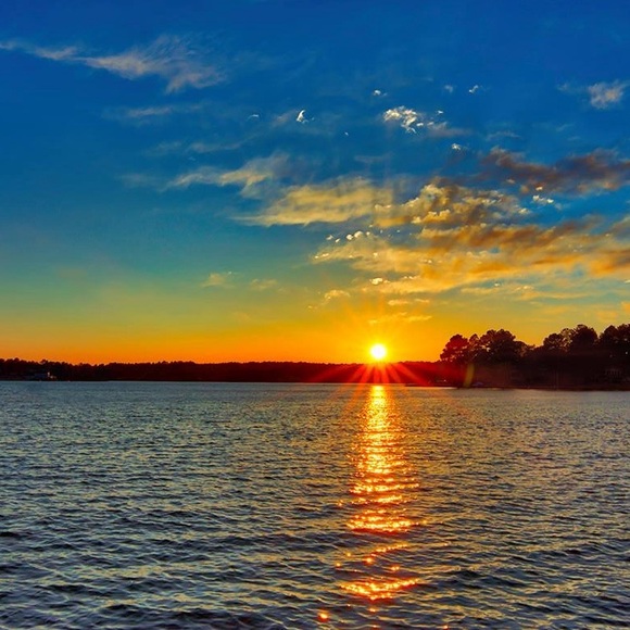 #6 Show Listing - Picture 1 of 1